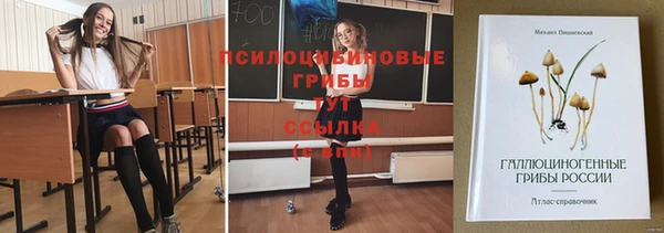 ПСИЛОЦИБИНОВЫЕ ГРИБЫ Пролетарск