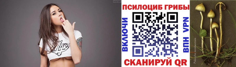Галлюциногенные грибы мицелий  Купить  Звенигород 